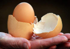 你见过神奇「蛋中蛋」吗？